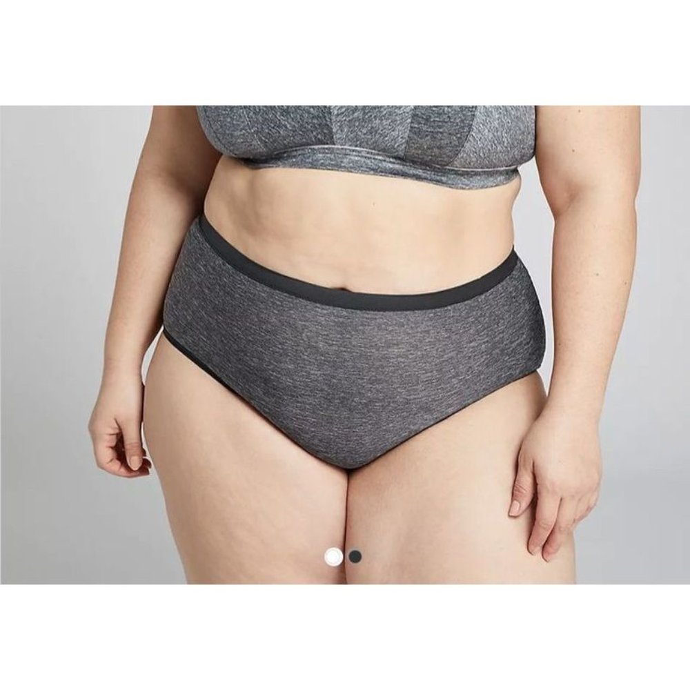 Lane Bryant No Show Full Brief Panty 22/24